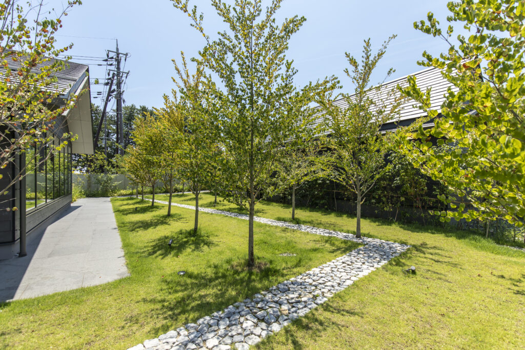Glass-walled modern building beside a sunny courtyard with young trees and a pebble stone path on green grass