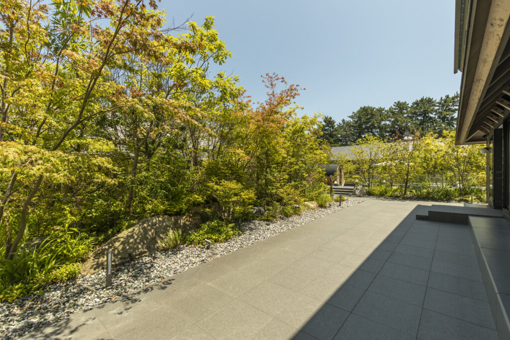 Sunny courtyard with lush trees, gravel bed, and a paved walkway beside a modern building.